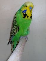 2014 018.JPG